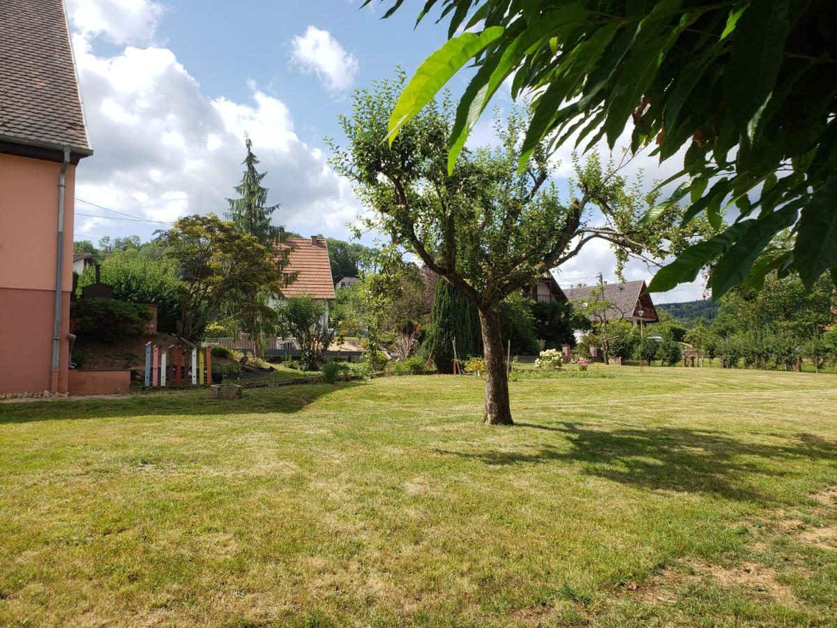 Le Souplex D'Anais Bed & Breakfast Schirmeck Bagian luar foto