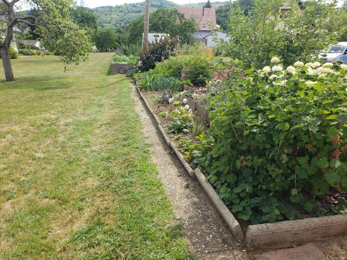 Le Souplex D'Anais Bed & Breakfast Schirmeck Bagian luar foto
